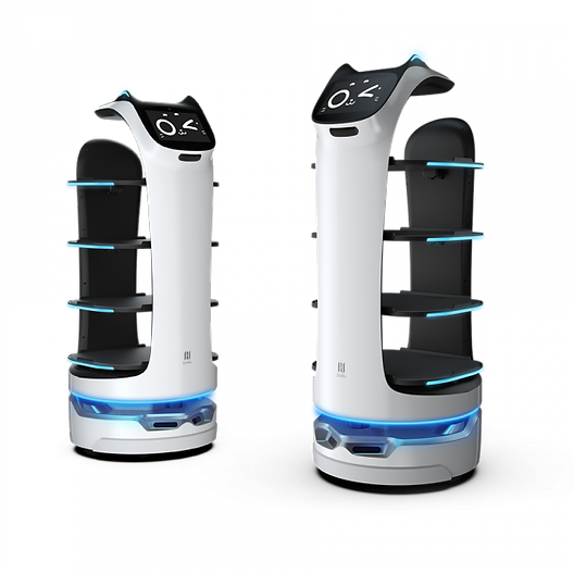 Bellabot-Roboter-600x600.png