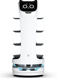 BellaBot
