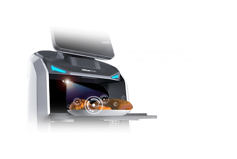 Speisenerkennung automatische Identifikation.png