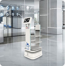 Enterprise Funktion AutoXing Lieferroboter
