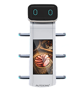 Mars Lieferroboter AutoXing