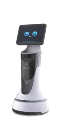 Empfangs- und Marketingroboter von OrionStar und Keenon